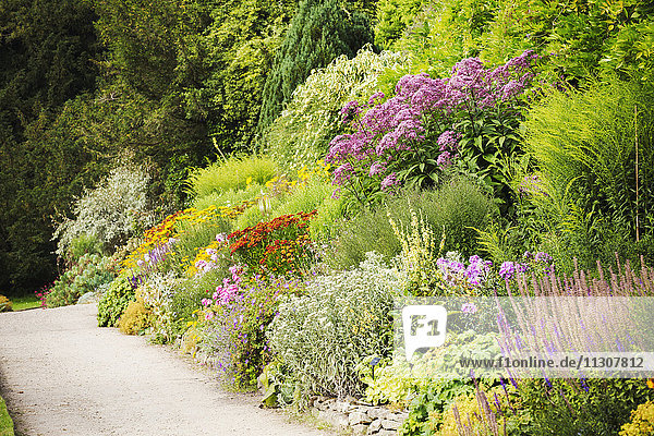 Fußweg entlang einer gemischten Blumenrabatte bei Waterperry Gardens in Oxfordshire.