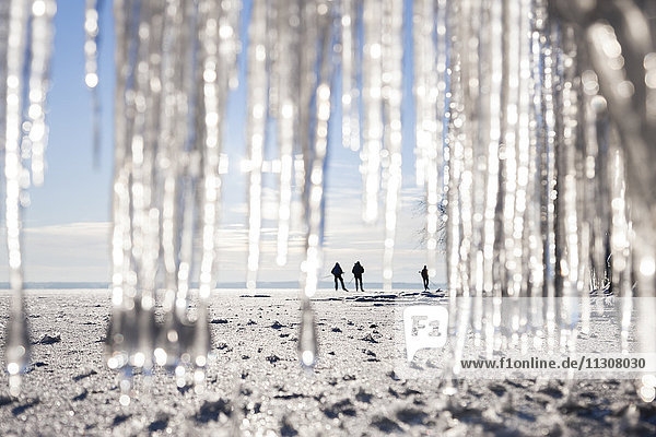 Silhouettes of people on beach. icicles on foreground