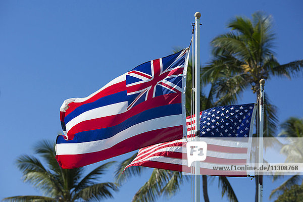Maui  US flag  banner  USA  Hawaii  America  flag  flags  palms