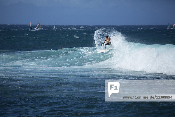 Maui  beach  seashore  Paia  USA  Hawaii  America  bathing  water sport  surf  no model-release