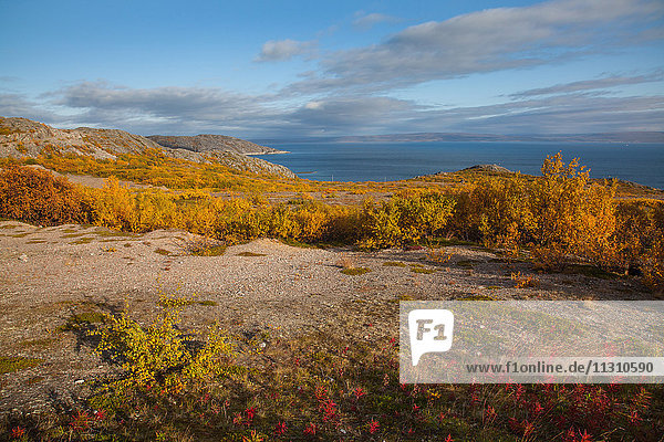Europa  Fjord  Herbst  Herbstfarben  Landschaft  Landschaft  Lappland  Meer  Norwegen  Skandinavien  Varangerfjord  Wasser
