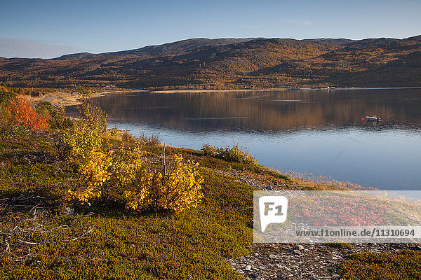Europe, fjord, autumn, autumn colors, coast, scenery, landscape, Lapland, sea, Norway, Oldernes, Repparfjord, Scandinavia, reflection, water