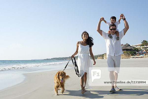 Family walking on the beach with dog
