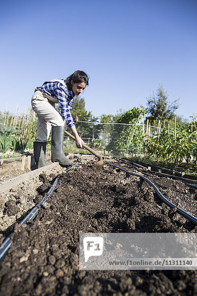 Woman working on farm  preparing vegetable patch with hoe