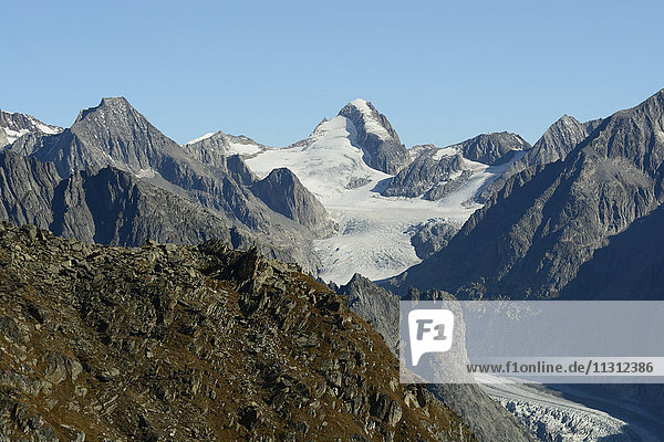 Eggishorn  view  mountains  Finsteraarhorn  Grosses Wannenhorn  glacier of Fiesch  Alps  Canton of Valais  Switzerland
