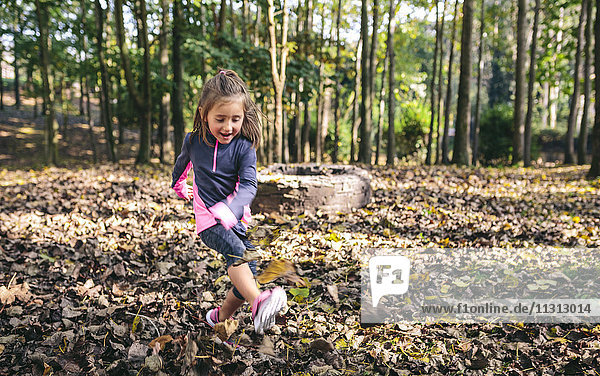 Glückliches kleines Mädchen  das im Wald spielt.