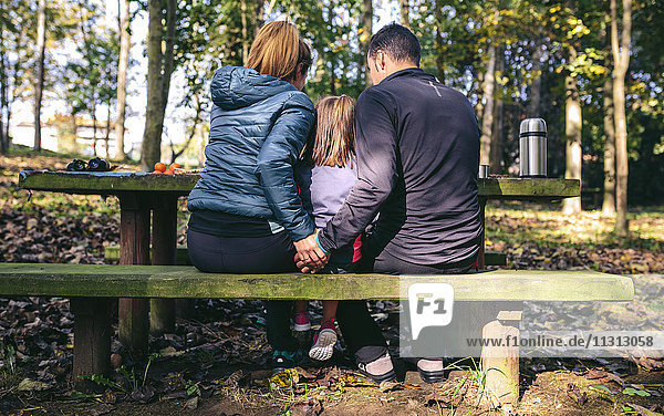 Rückansicht der Familie beim Picknick im Wald