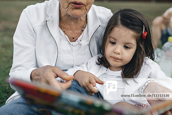Großmutter zeigt Enkelin Bilderbuch auf der Wiese