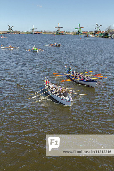 Rowing-match on the river Zaan near the windmills of the open-air museum Zaanse Schans