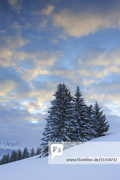 Winter scenery  mountain Flumser  Switzerland