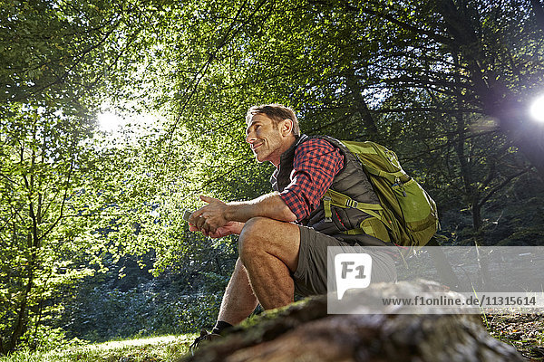 Wanderer im Wald auf Baumstamm sitzend  Smartphone haltend