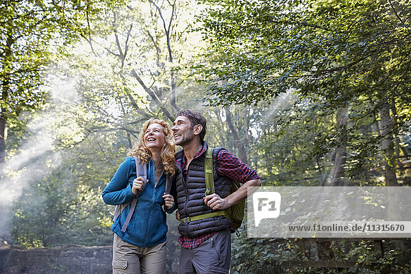 Couple hiking in forest  looking up