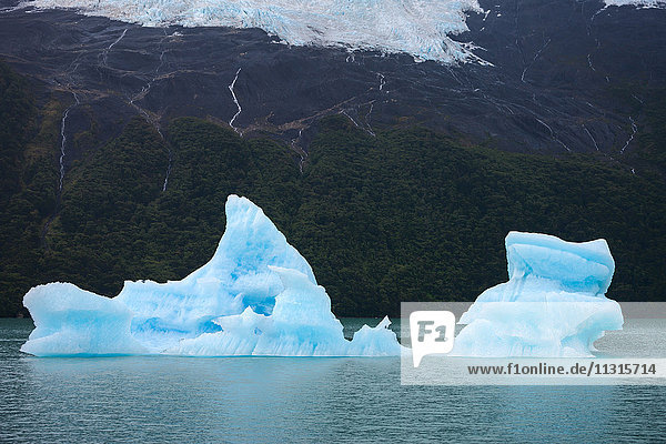 Eisberg  Argentinien  Patagonien