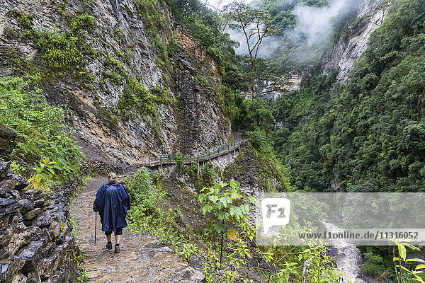 Peru  Amazonas Region  Cocachimba  tourist hiking towards Gocta waterfall