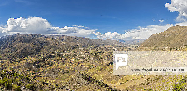 Peru  Anden  Chivay  Colca Canyon  Blick vom Mirador Antahuilque auf geerntete Maisfelder