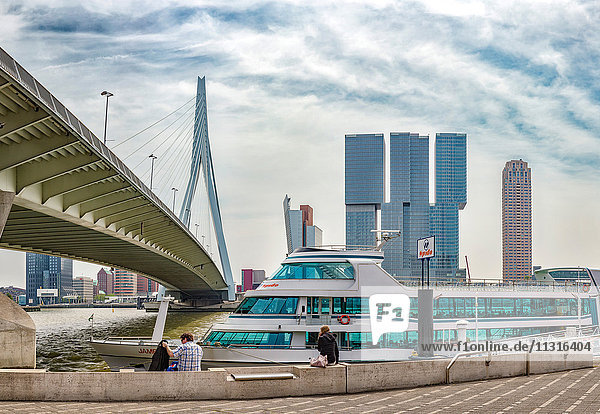 Rotterdam  The Erasmus bridge