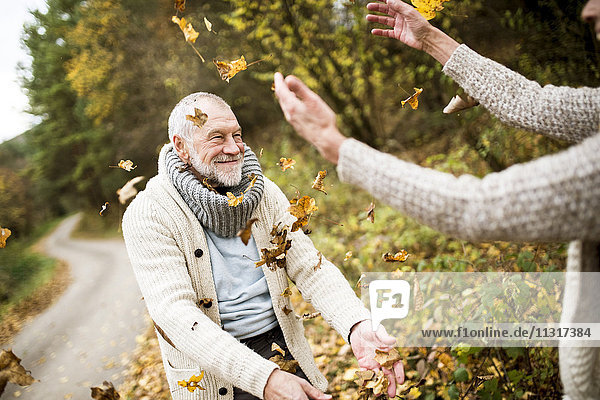 Glücklicher älterer Mann und seine Frau spielen mit Herbstblättern