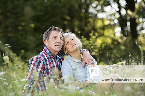 Senior couple relaxing together on a meadow