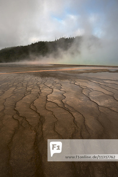 USA  Rocky Mountains  Wyoming  Yellowstone  National Park  UNESCO  World Heritage  Grand Prismatic spring