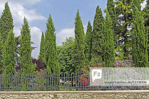 Villa Girardi  park