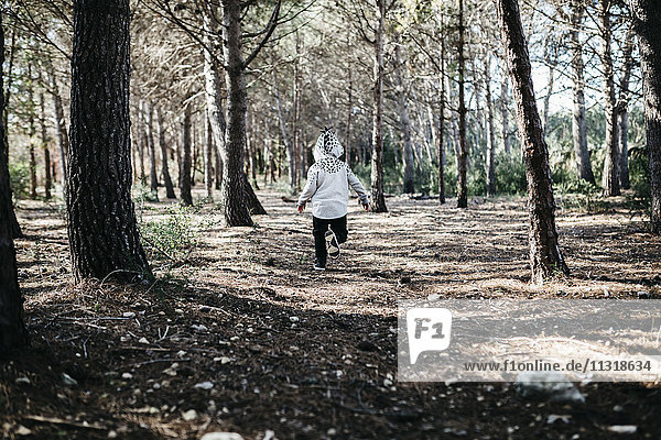 Rückansicht des kleinen Jungen mit Kapuzenjacke  der im Wald läuft