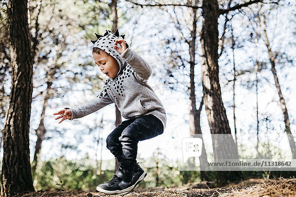 Kleiner Junge  der im Wald in die Luft springt.