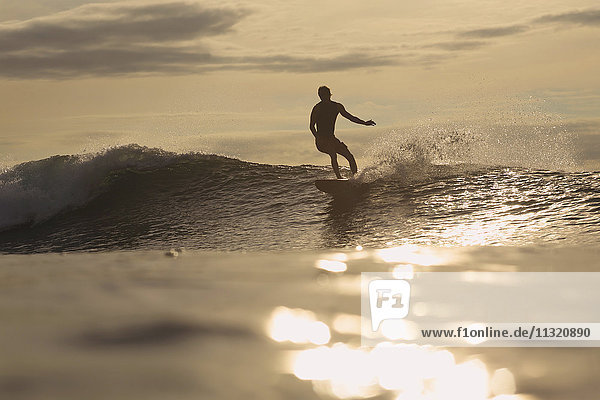 Indonesia  Bali  surfer at sunset
