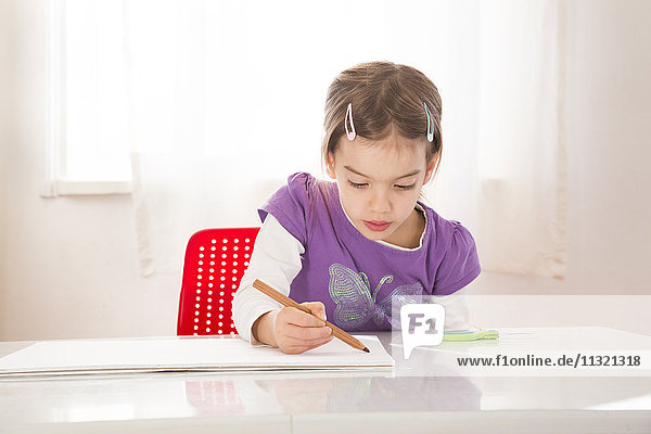Kleines Mädchen beim Zeichnen auf einem Blatt Papier
