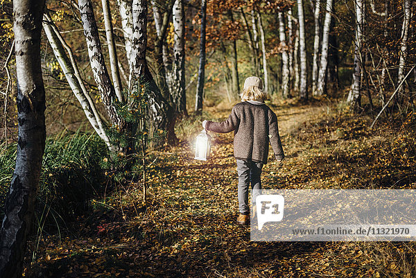 Hansel and Gretel  Boy walking in forest  carrying lantern