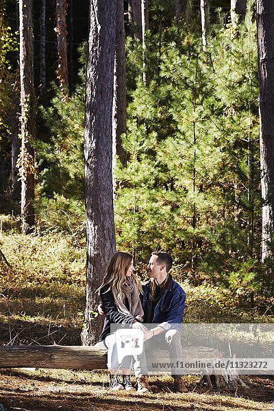 A couple seated on log in a pine forest.