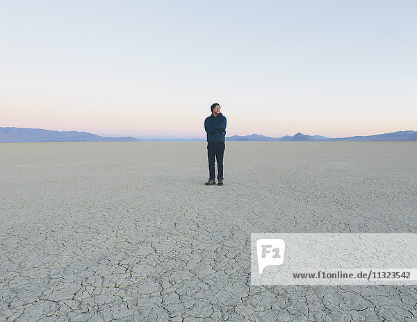 Mann steht im Morgengrauen in riesiger Wüstenlandschaft  Schwarze Steinwüste  Nevada