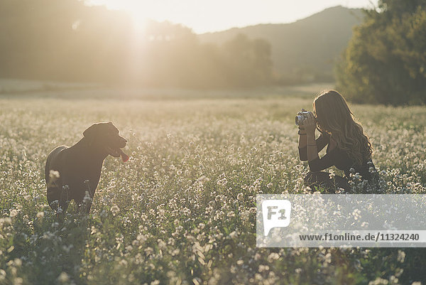 Young woman taking picture of her dog in field of flowers at twilight