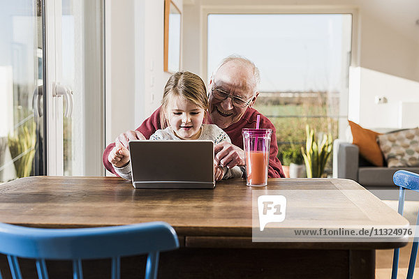 Grandfather and granddaughter using laptop together