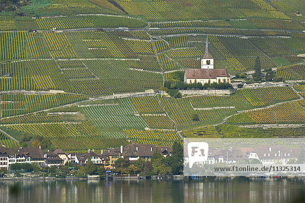 Ligerz am Bielersee im Kanton Bern