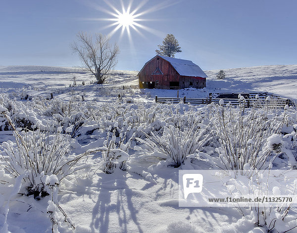 agriculture and rolling hills in Washington State in winter