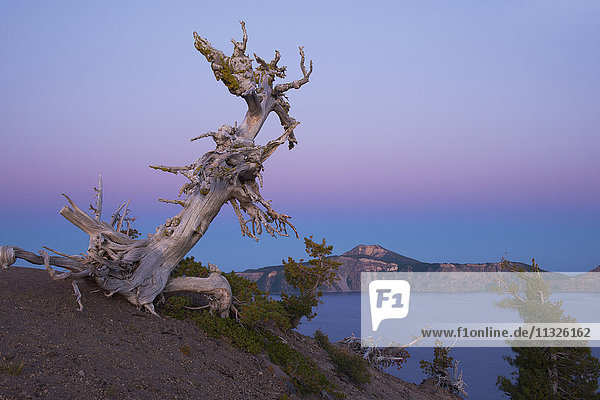 Crater Lake National Park in Oregon