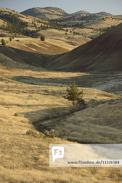 John Day Fossil Beds National Monument