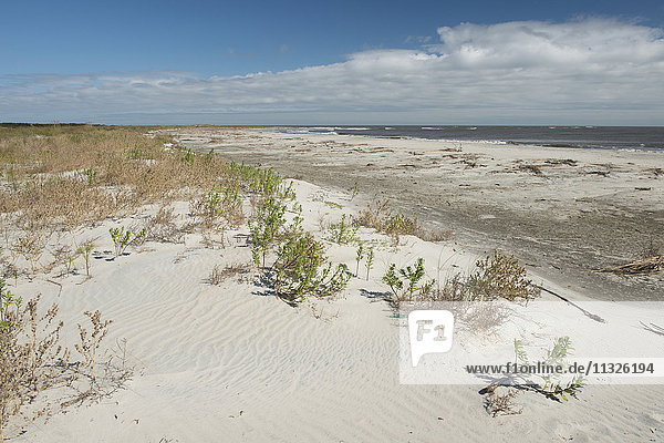 Little St. Simons Island in Georgia
