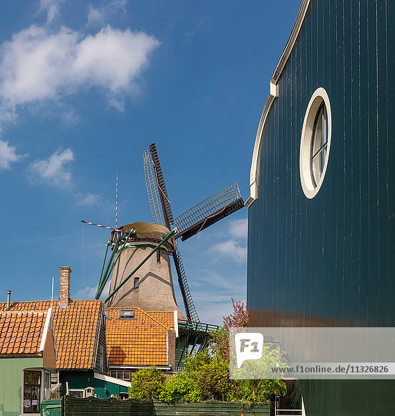 Windmühle der fahle Tod in Zaandijk  NL