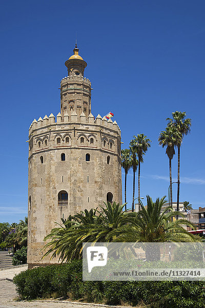 Torre del Orso in Sevilla  Andalusien