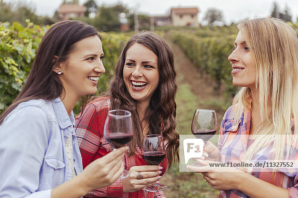 Drei glückliche junge Frauen in einem Weinberg mit Gläsern Rotwein