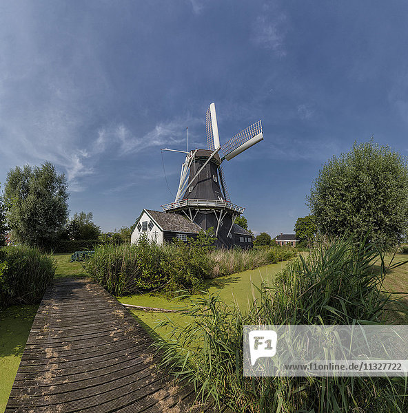 Windmühle in Woltersum  Groningen