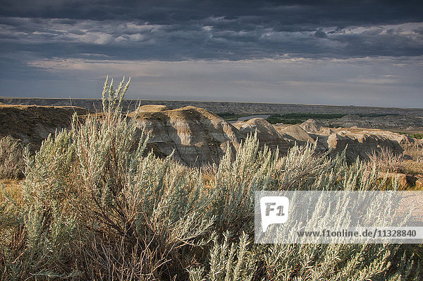 Dinosaur Provincial Park in Alberta