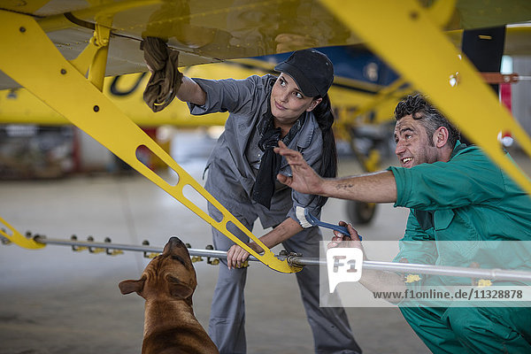 Mechanics with dog in hangar repairing light aircraft