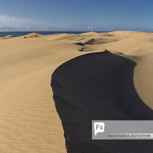 Sanddünen in Maspalomas  Gran Canaria  Kanarische Inseln