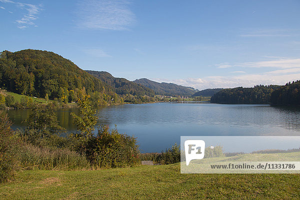 Türlersee lake in the canton of Zurich Switzerland