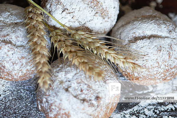 Organic Homemade Whole Wheat Bread