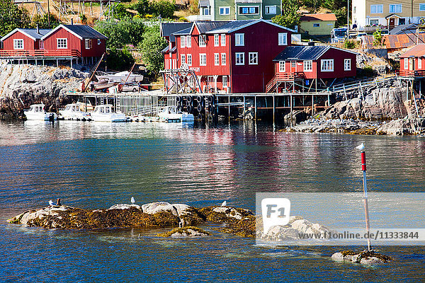 Europa  Norwegen  Lofoten  A  ein Fischerdorf am südlichen Ende des Lofoten-Archipels