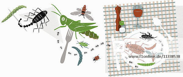 Insekten und Skorpion als Mahlzeit