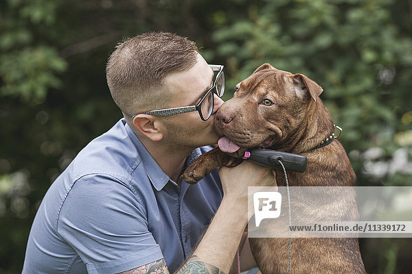 Ein junger Mann küsst seinen Staffordshire Terrier/Shar Pei Hund,  Nahaufnahme